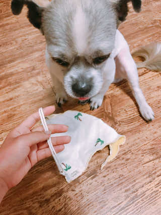 임윤주님이 올린 리뷰 사진 2
