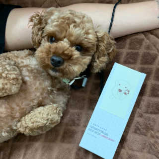 영주맘님이 올린 리뷰 사진 1