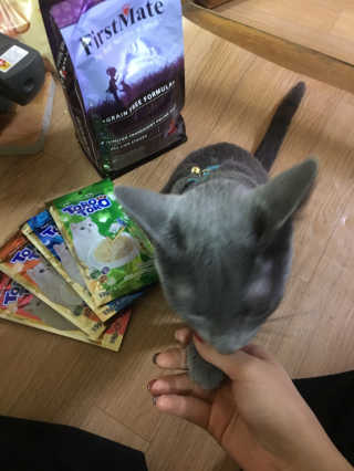 율집사님이 올린 리뷰 사진 1