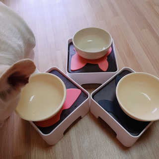 핸지님이 올린 리뷰 사진 3