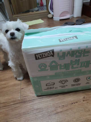 뽀오오옹님이 올린 리뷰 사진 1