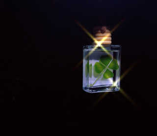 영블리님이 올린 리뷰 사진 2