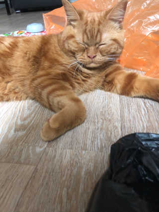 조원화님이 올린 리뷰 사진 2