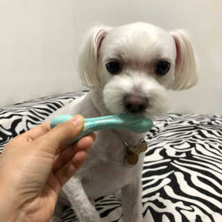 규빈띵쏘님이 올린 리뷰 사진 2
