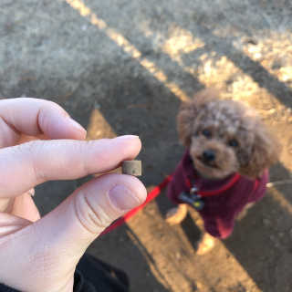 파이님이 올린 리뷰 사진 4