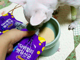 서연님이 올린 리뷰 사진 3