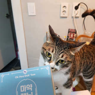 꼽이님이 올린 리뷰 사진 2
