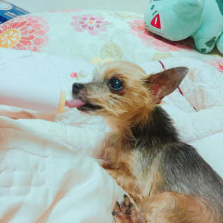 성유진님이 올린 리뷰 사진 4
