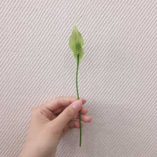 v정화v님이 올린 리뷰 사진 3