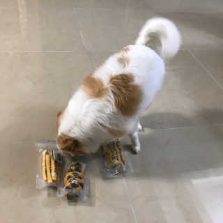 지애님이 올린 리뷰 사진 4