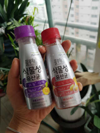 풀무원 식물성유산균 레드앤오메가 + 푸룬앤바이오 — 4.83점을 준 리뷰어가 2018년 11월 올린 사용 사진