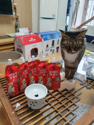 오드리고딩님이 올린 리뷰 사진 2