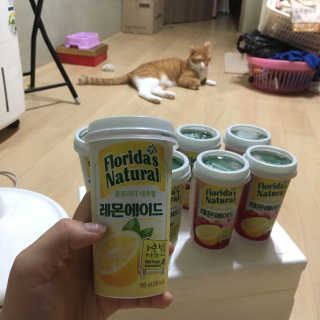 플로리다 내추럴 플로리다내추럴 레몬에이드  2종 — 5점을 준 리뷰어가 2018년 7월 올린 사용 사진
