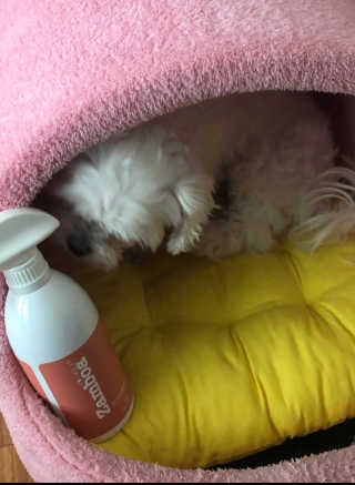 시아님이 올린 리뷰 사진 1