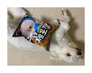 헬로샤샤님이 올린 리뷰 사진 3