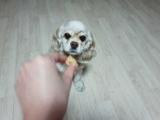 SohyeonLee님이 올린 리뷰 사진 4