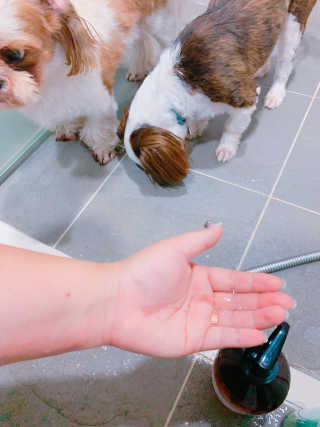 짱츄들님이 올린 리뷰 사진 1