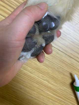 셀럽봉봉님이 올린 리뷰 사진 3