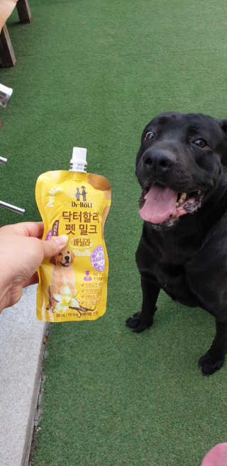 닥터할리펫밀크 8종 — 5점을 준 리뷰어가 2019년 6월 올린 사용 사진