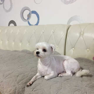 헬로쩡님이 올린 리뷰 사진 2