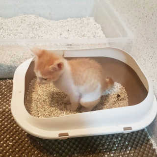 헐크갱크🌱님이 올린 리뷰 사진 3