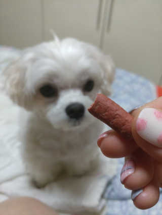 김진희님이 올린 리뷰 사진 1