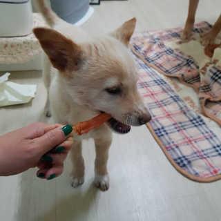 발라당님이 올린 리뷰 사진 2