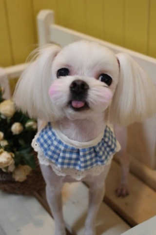ChohuiKim님이 올린 리뷰 사진 3