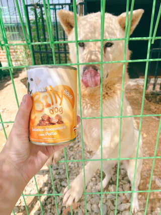 늘봄냥님이 올린 리뷰 사진 2