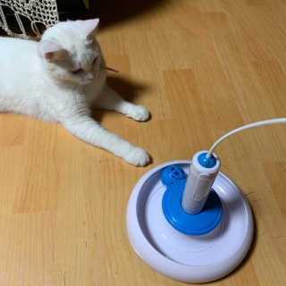쮸야님이 올린 리뷰 사진 3