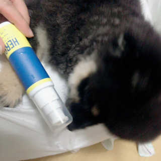 송정아님이 올린 리뷰 사진 2