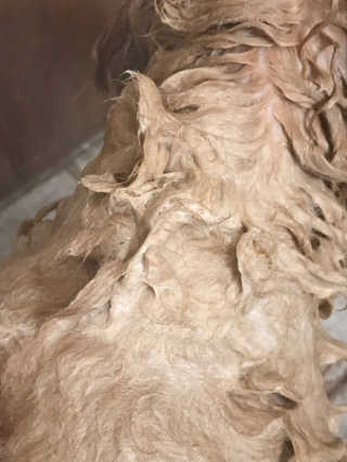 조언니님이 올린 리뷰 사진 3