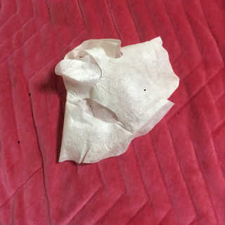 초천재님이 올린 리뷰 사진 3