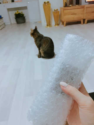 선율님이 올린 리뷰 사진 2