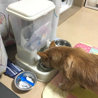ducko님이 올린 리뷰 사진 1