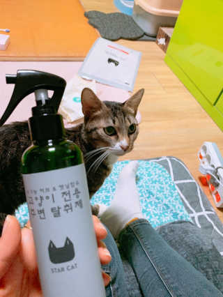 태교미야님이 올린 리뷰 사진 3