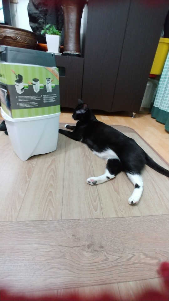 펫토리아 이중밀폐 고양이분변통 리터락커2 본품 리뷰 사진