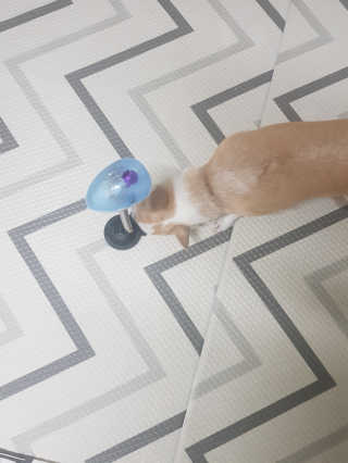 보리보리님이 올린 리뷰 사진 3