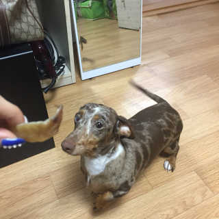풀희띠님이 올린 리뷰 사진 2