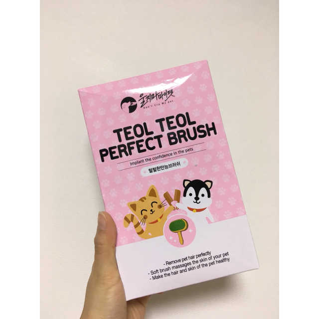 털털한브러쉬 리뷰 사진