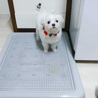 랄라룰루님이 올린 리뷰 사진 1