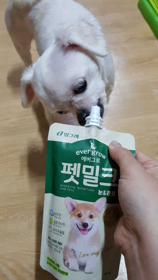 [빙그레] 에버그로 생유산균 1봉（10포입）+펫밀크2팩 — 5점을 준 리뷰어가 2019년 3월 올린 사용 사진