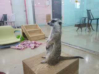 MiSeonKim님이 올린 리뷰 사진 3