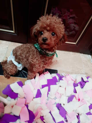 서지선님이 올린 리뷰 사진 1