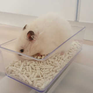 미오님이 올린 리뷰 사진 2