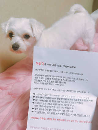 오!마이실리 오마이실리 반려동물 디퓨저 — 5점을 준 리뷰어가 2017년 12월 올린 사용 사진