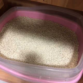 [펫토리아] BEST 고양이두부모래 6L 한삽뚝딱 — 2점을 준 리뷰어가 2019년 2월 올린 사용 사진