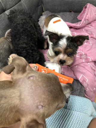 정봐기린님이 올린 리뷰 사진 3