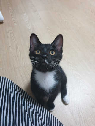 하루빠나❤님이 올린 리뷰 사진 2