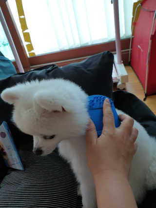 겸둥이연우맘님이 올린 리뷰 사진 3
